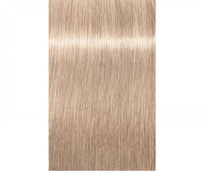 Zesvětlující barva na vlasy Schwarzkopf Professional Igora Royal Highlifts 60 ml - 12-19 speciální blond popelavá fialová