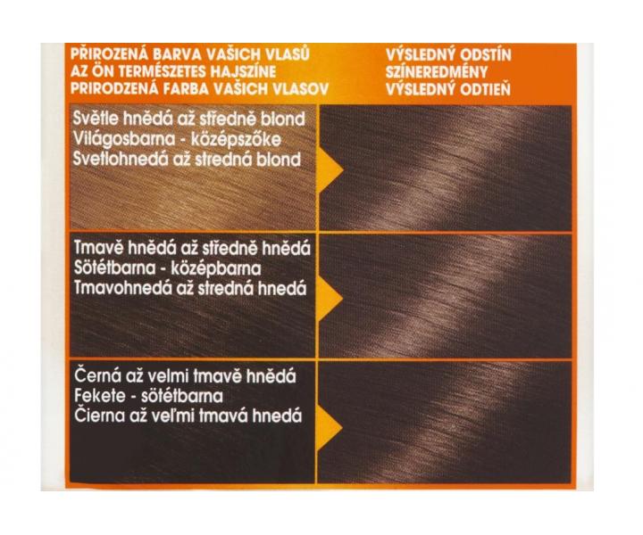 Permanentní barva Garnier Color Naturals 6.00 tmavá blond